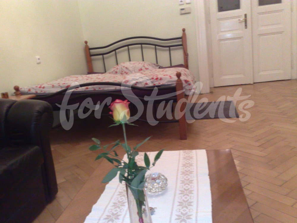 One bedroom apartment in the city center, Prague