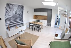 Modern studio apartment with garden on Jeronýmova Street, Brno  - _0165