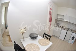 Studio apartment on Spolková Street, Brno  - SC_0384