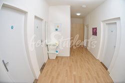 Place for girl/boy in a shared double room in the Brno city centre - chodba