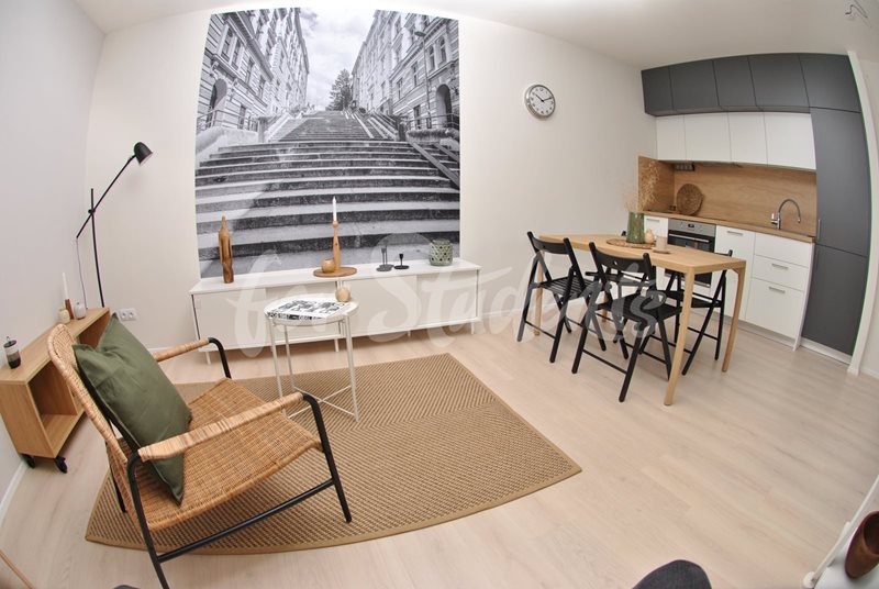 Modern studio apartment with garden on Jeronýmova Street, Brno  (file _0208.jpg)