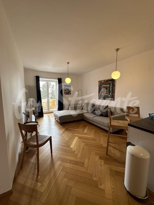 Luxurious two-bedroom apartment, Hradec Králové (file 134.jpg)