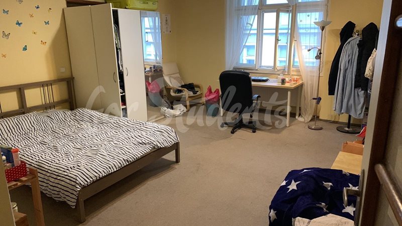 One room available for male students in four bedroom apartment in Old Town, Hradec Králové (file 406881563_1434735327472961_8862485052531128293_n.jpg)
