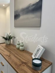 Fully furnished brand new one bedroom apartment in Tylovo nábřeží, Hradec Králové - 6686a861-a045-41da-86ea-c38096b34270