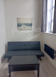 New 2 bedroom apartment in the Brno-old town  - 88DE8CF6-D836-4768-AAE4-76075C981518_1_201_a