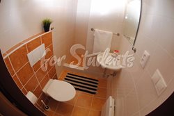 Nice studio apartment with balcony, Brno - koupelna