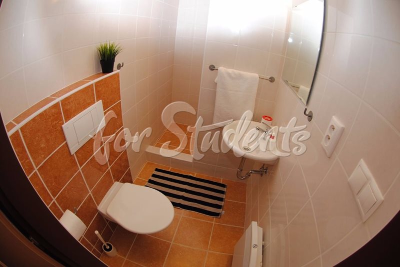 Nice studio apartment with balcony, Brno (file koupelna.jpg)