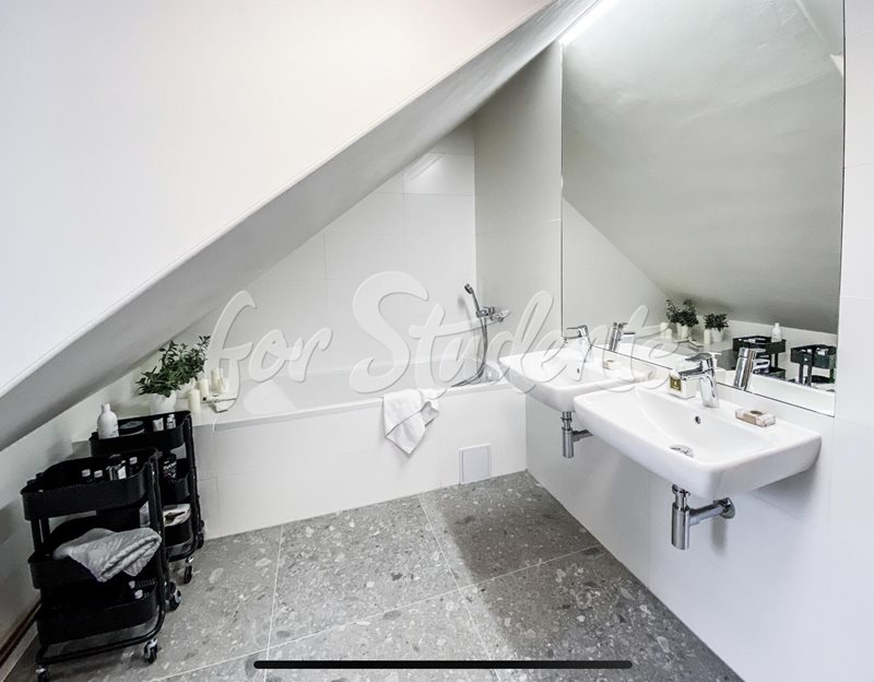 Very modern double room close to Brno-city center (file Koupelna-1-patro.jpg)
