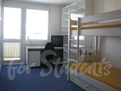 One bedroom apartment with living room and separate kitchen near the hospital, Hradec Králové - pronajem10