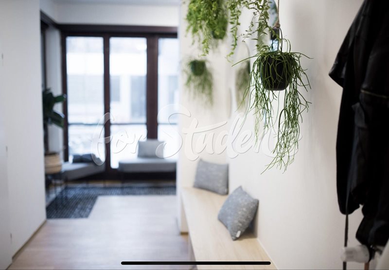 Very modern double room close to Brno-city center (file vstupni-hala.jpg)