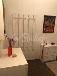 One room available in female shared apartment, 10min from city center, Prague - IMG-20200124-WA0019