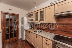 Bright newly reconstructed one bedroom apartment close to city centre, Hradec Králové  - foto-010-(2)
