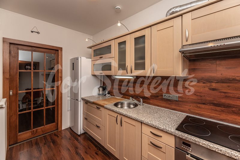 Bright newly reconstructed one bedroom apartment close to city centre, Hradec Králové  (file foto-010-(2).jpg)