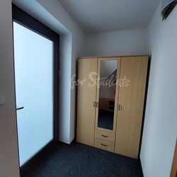 Spacious two bedroom apartment in a family house, Prague - PHOTO-2023-09-19-15-45-25-2