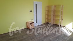 One bedroom flat in Rosice, close to Brno - IMG_5873