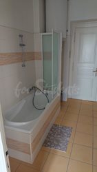 One room available in a four bedroom shared apartment on Buzulucká street, Hradec Králové - koupelna-a