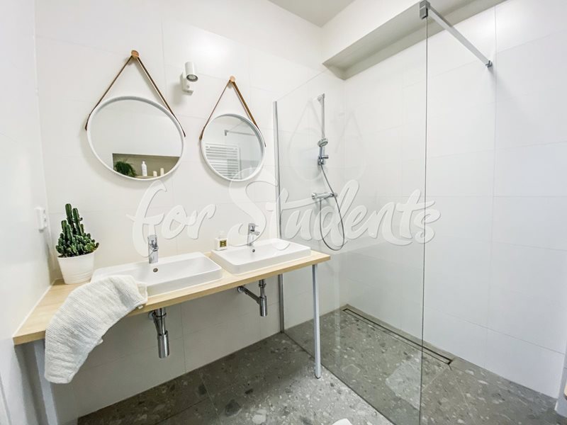 Very modern double room close to Brno-city center (file Koupelna-prizemi.jpg)