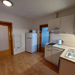 Spacious two bedroom apartment in a family house, Prague - PHOTO-2023-09-19-15-45-29-4
