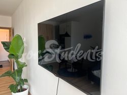 Modern studio apartment near Masaryk University, Brno  - PHOTO-2025-08-21-13-20-26