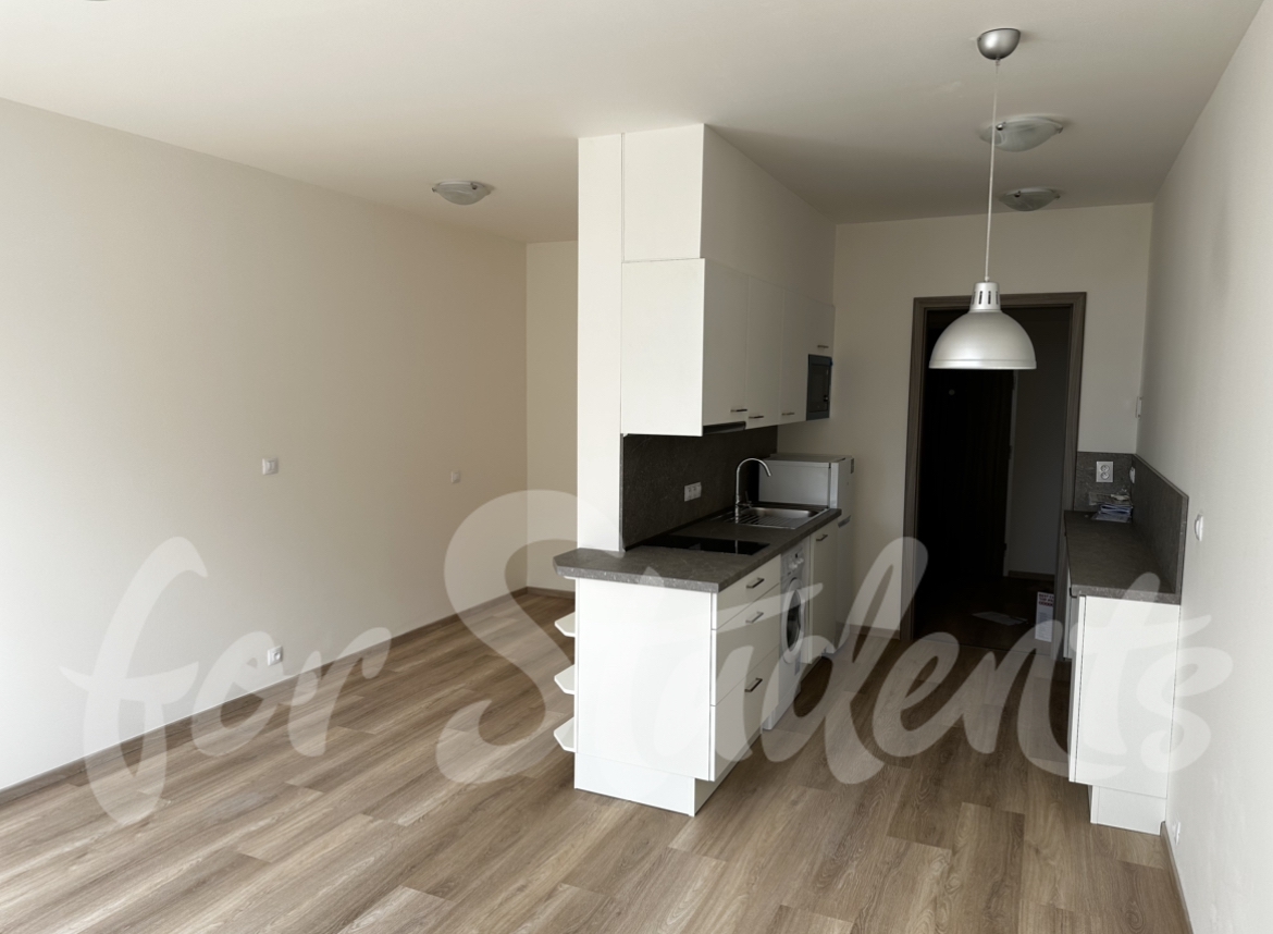 New build 1+kk flat on Trnitá-Brno