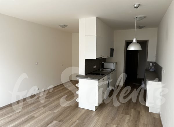 New build 1+kk flat on Trnitá-Brno - B20/23