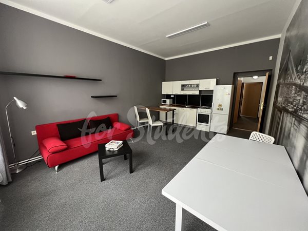 Spacious two bedroom apartment in New Town, Hradec Králové - 42/22