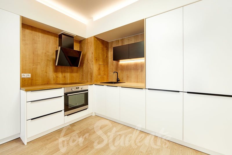 Brand new one bedroom apartment close to Brno city centre  (file csm_vranovka_byt_3_5_020013_e384946f82.jpg)