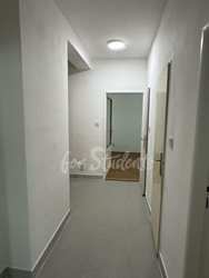 Spacious three bedroom apartment, Brno - IMG_4165