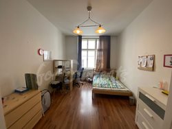 Spacious three bedroom apartment in the Old Town, Hradec Králové - IMG_8038