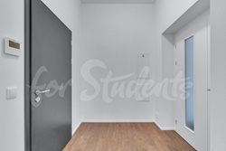 Fully furnished brand new two bedroom apartment with garden in Tylovo nábřeží, Hradec Králové - DSC09869