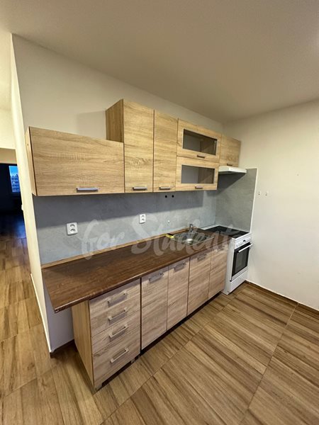 Newly reconstructed three bedroom apartment in Malšovice, Hradec Králové - 10/23