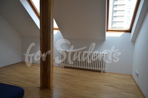 Newly reconstructed two bedrooms attic apartment on S. K. Neumanna street, Hradec Králové  - 6/23