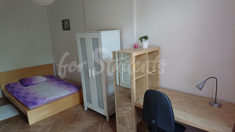 One spacious bedroom in four bedroom share apartment in Buzulucká street, Hradec Králové  (file bedroom3.jpg)