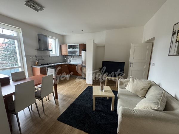 One room available in male spacious two bedroom apartment in New Town, Hradec Králové - R4/25