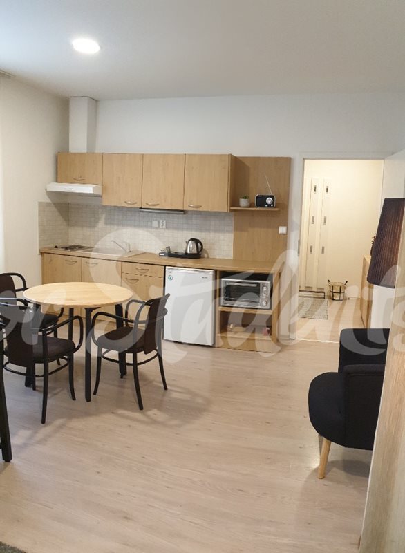 Retro studio apartment in the city centre, Brno (file partman-c-5-12.jpg)
