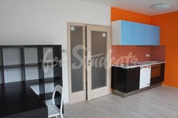 Attic one bedroom apartment in Komenského street, Hradec Králové - DSC06543