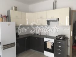 New spacious studio apartment, Brno - kuchyn3