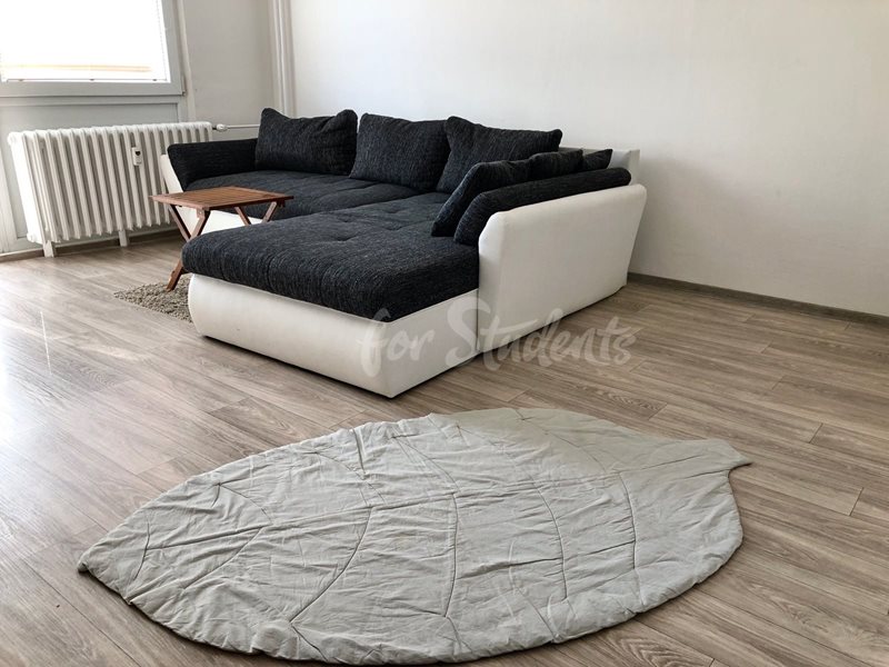 Modern two bedrooms apartment in Pod Zámečkem, Hradec Králové (file image11.jpg)