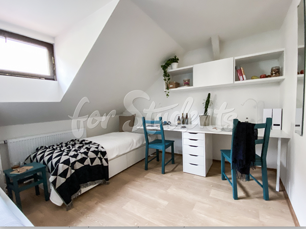 Modern Double room close to the city center in Brno - RB05/22