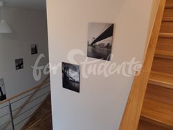 One bedroom apartment in New Town, Hradec Králové - SAM_2574