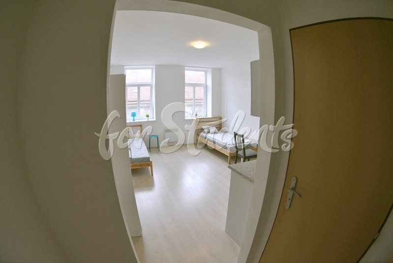 Studio flat close to Brno-city centre (file pokoj2.jpg)