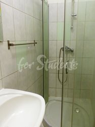 Studio apartment near the First Faculty of Medicine, Prague - P1010490-(2)