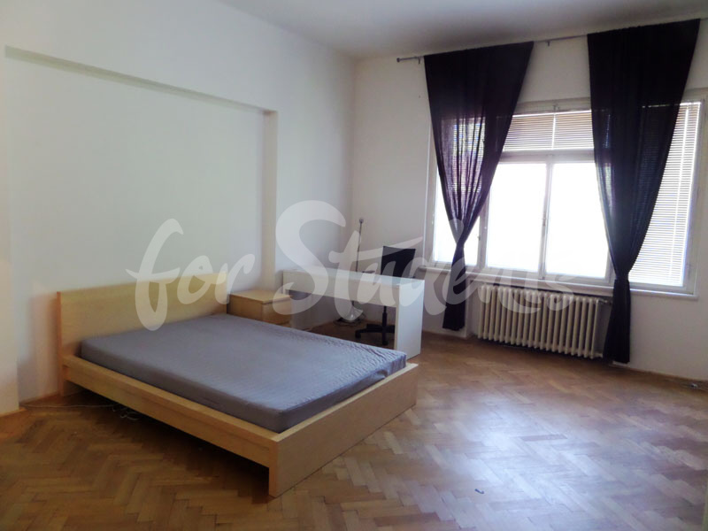 Two bedroom apartment in Kotěrova street, Hradec Králové (file SAM_1603.jpg)