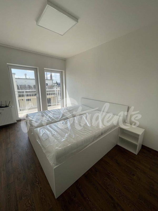 Bright and spacious one bedroom apartment on Bratislavská Street, Brno (file 354955056_214506378202252_3790473689687122698_n.jpg)