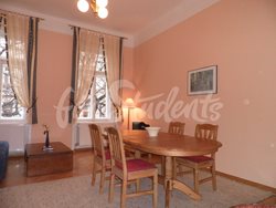 One bedroom apartment in Vinohrady, Prague - (2)