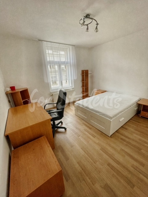 Two bedroom apartment close to the Faculty of Medicine, Prague
