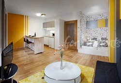 Fully equipped studio flat close to Brno, city centre - 06
