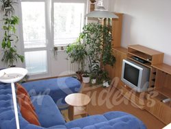 One bedroom apartment with living room and separate kitchen near the hospital, Hradec Králové - pronajem06
