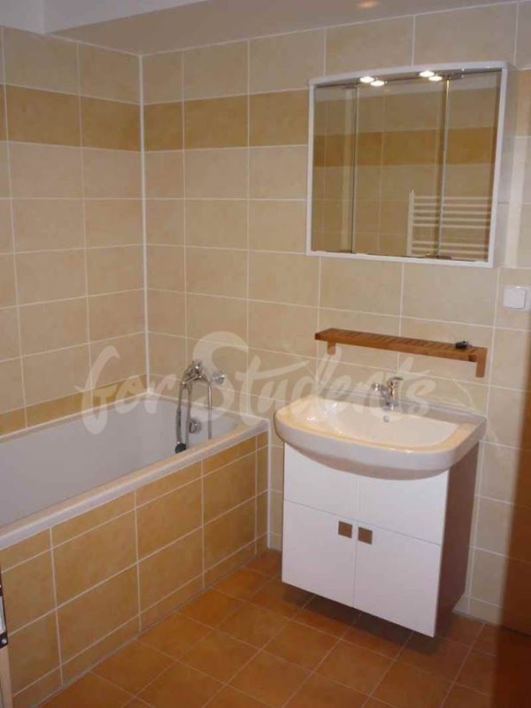 Spacious studio apartment in the Old Town available from August, Hradec Králové (file 14-(1).jpg)
