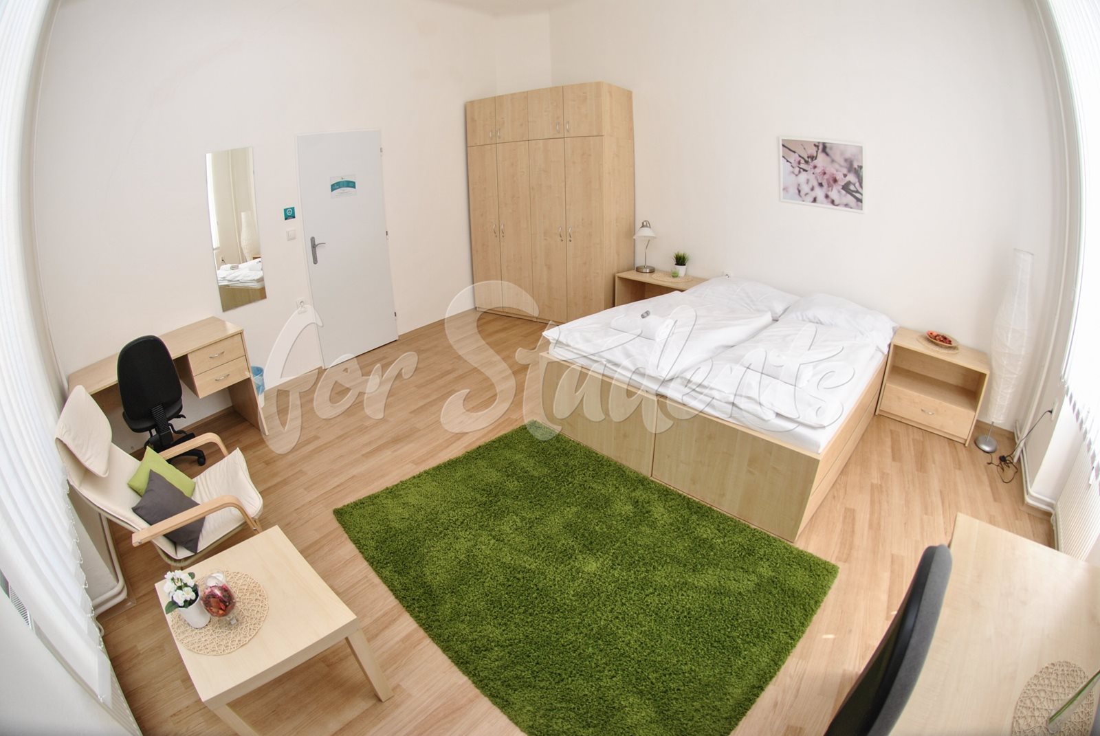 Place in a shared double room in the Brno city centre